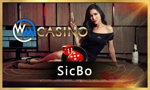 Wide selection of slot games